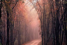 [CBA]原帅跳投不中 刘传兴积极补篮打成2+1.