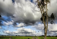 PG电子体育：[篮球公园]李克篮球冬令营在稻香湖学校开营.